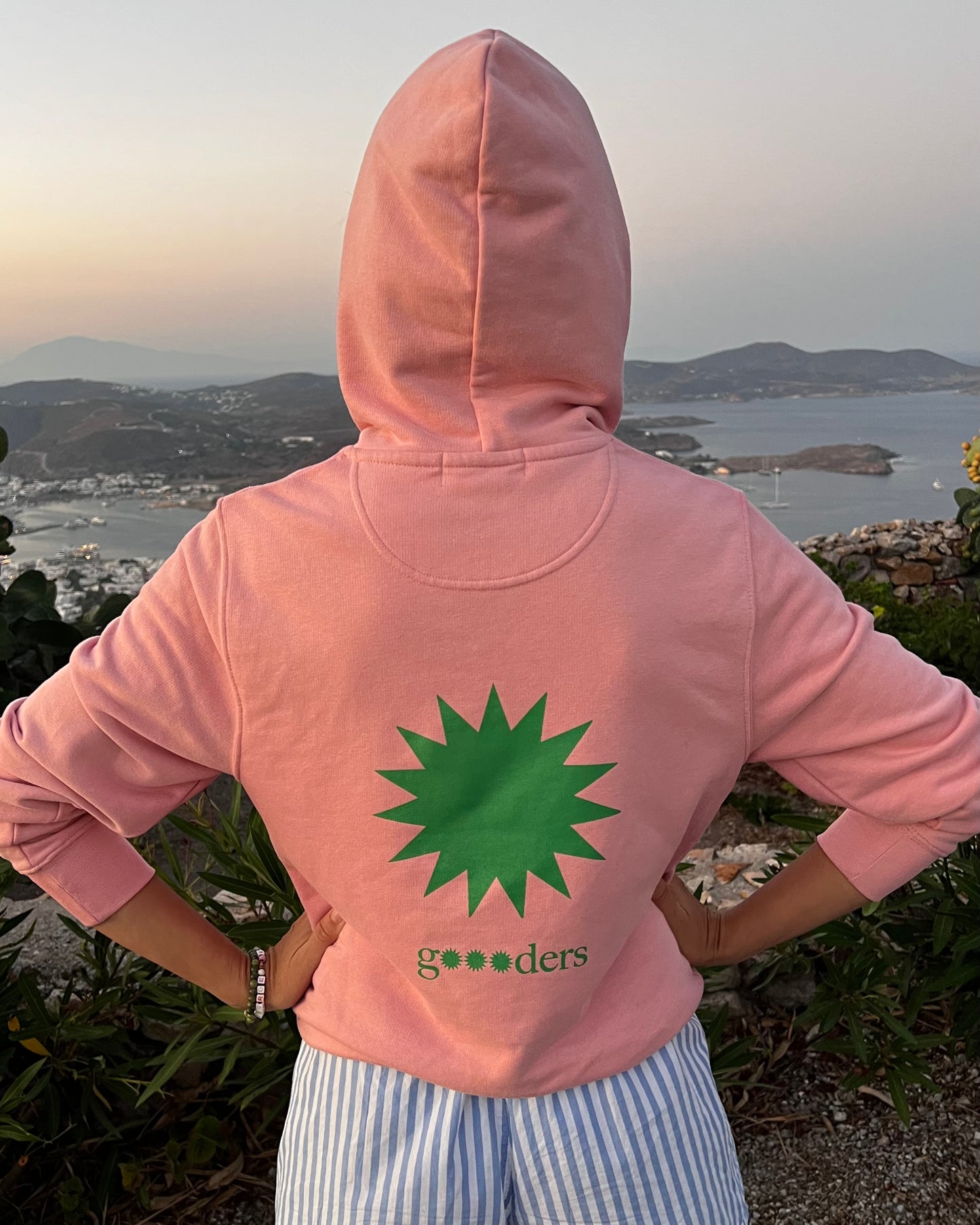 Reduce Reuse Recycle Medium Fit Hoodie