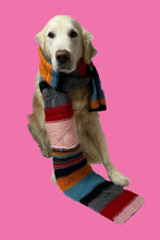 Load image into Gallery viewer, Wool Scarf By Gomitolorosa
