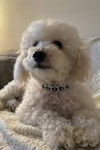 Load image into Gallery viewer, gOOOders X Tumaini Trust - gOOOd Boy - gOOOd Girl Dog Collar
